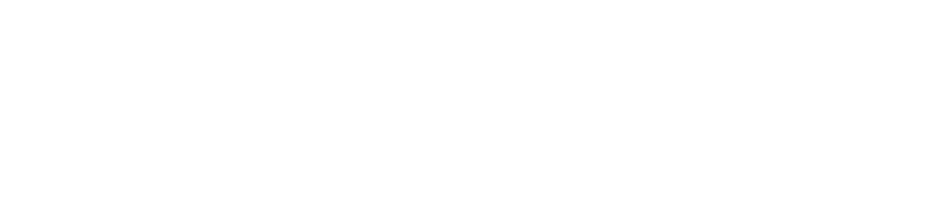 攻击网站服务器软件